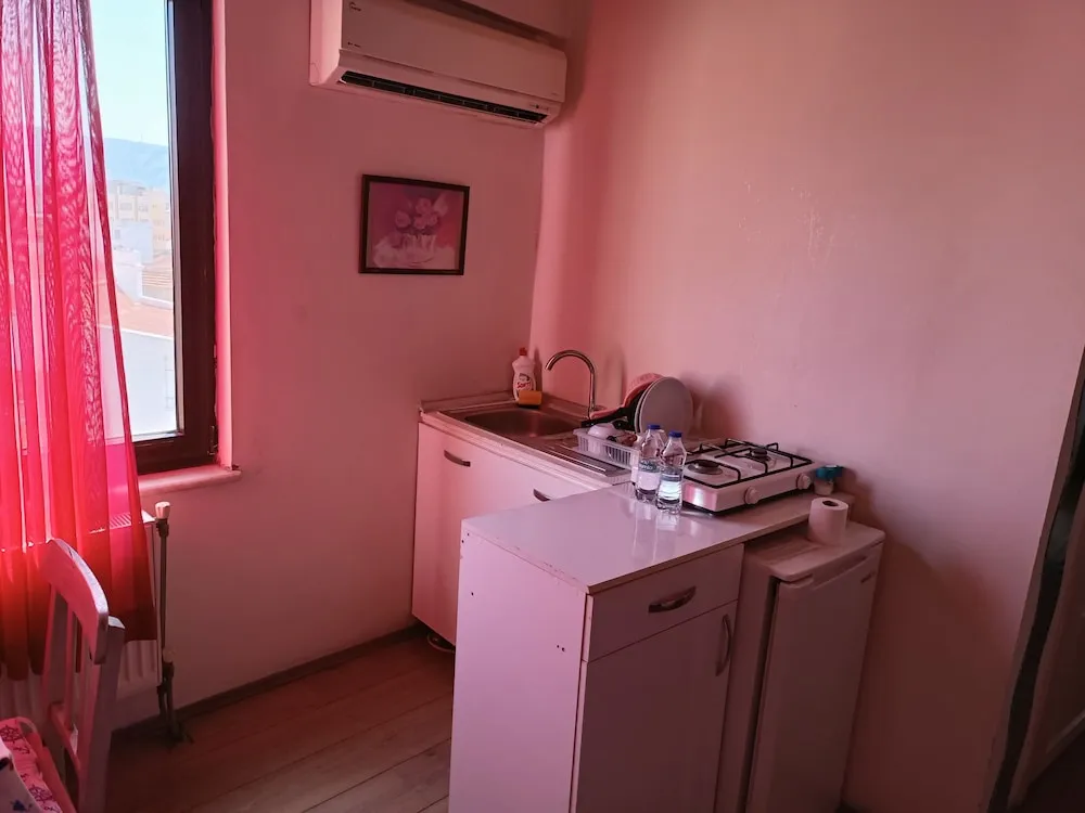 Çatı Katı Süiti (Penthouse)