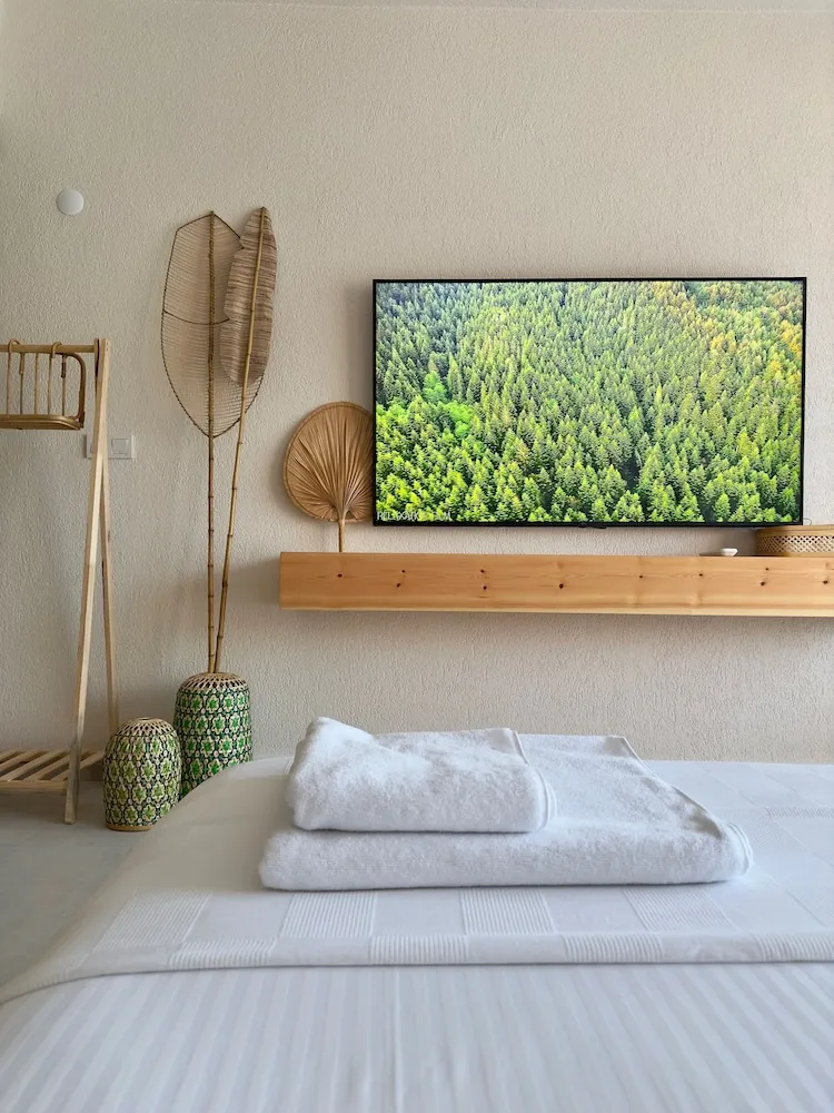 Deluxe Tek Büyük Yataklı Oda, Park Manzaralı