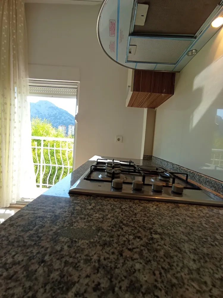 Business Apart Daire, 1 Yatak Odası, Balkon, Dağ Manzaralı