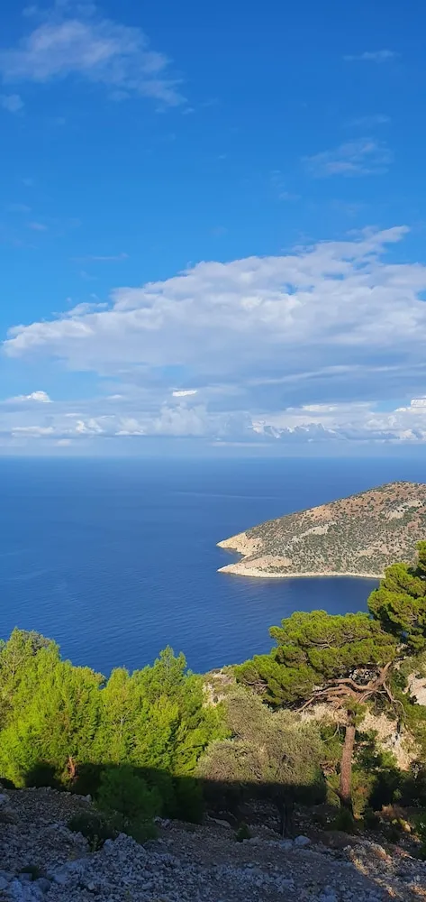 Standard Oda, Deniz Manzaralı
