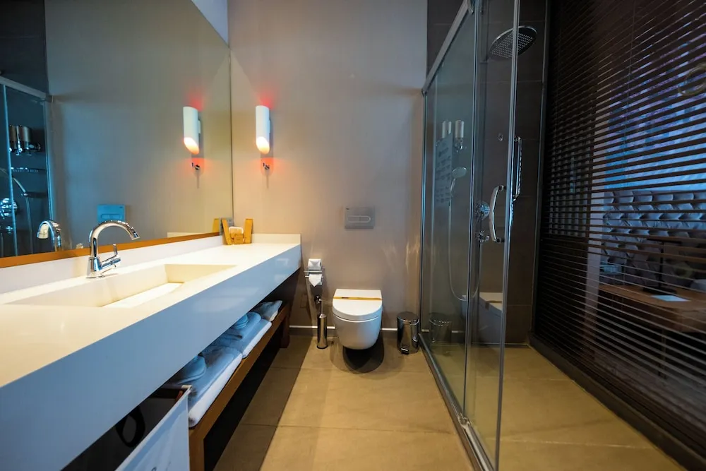 Deluxe Oda, Şehir Manzaralı