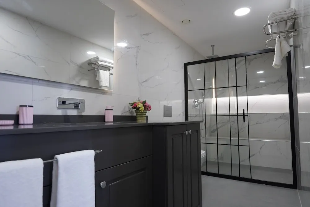 Basic Stüdyo, 1 Çift Kişilik Yatak, Şehir Manzaralı