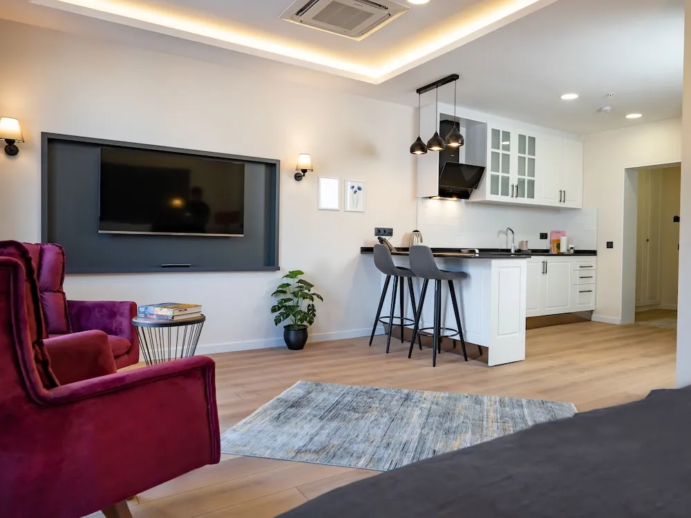 Basic Stüdyo, 1 Çift Kişilik Yatak, Şehir Manzaralı