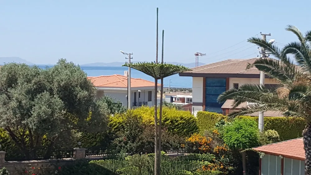 FAMILY HOMES (2+1)