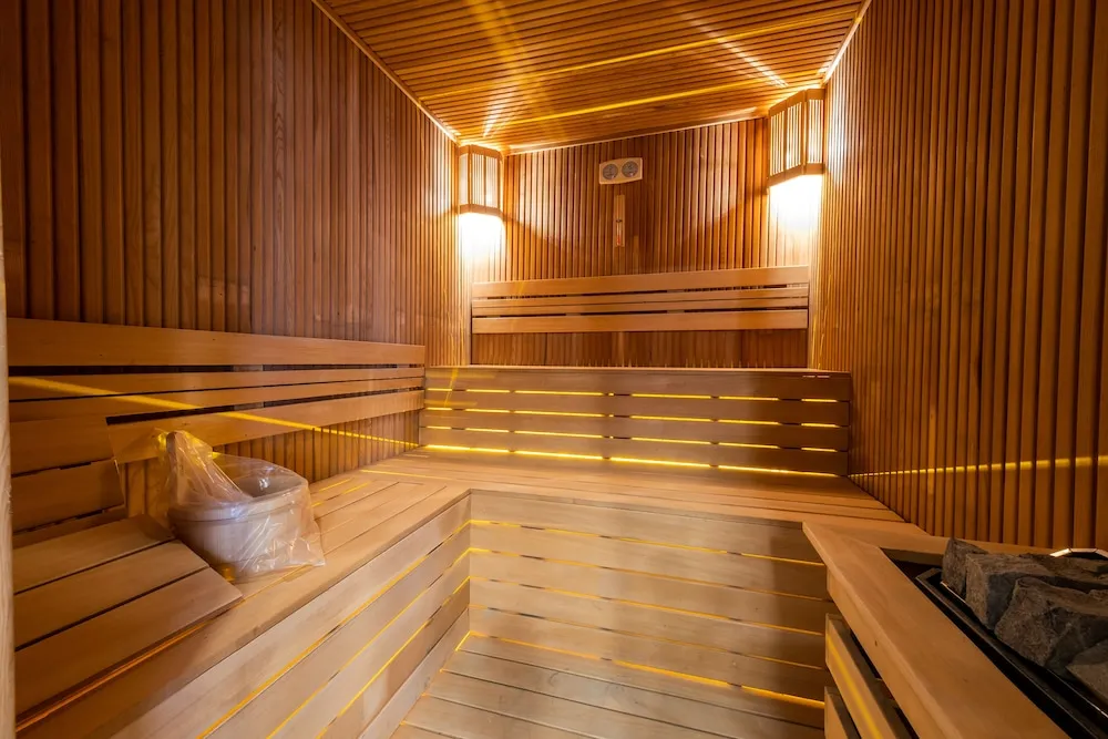 Executive Çatı Katı Süiti (Penthouse), Sauna, Şehir Manzaralı