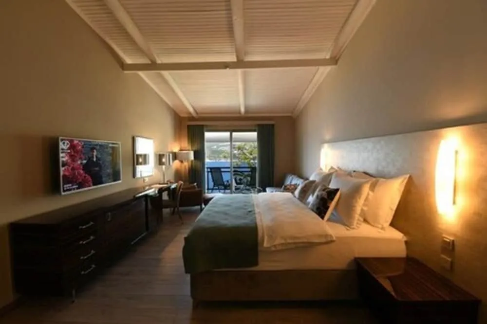 New VIP Room