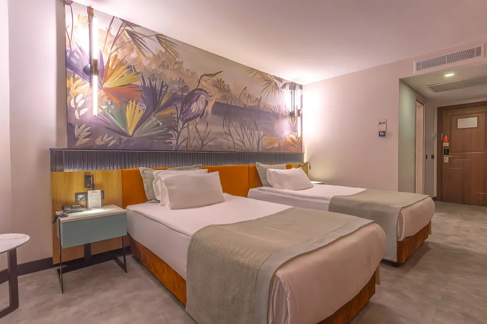 Deluxe Oda, 2 Tek Kişilik Yatak, Sigara İçilmez