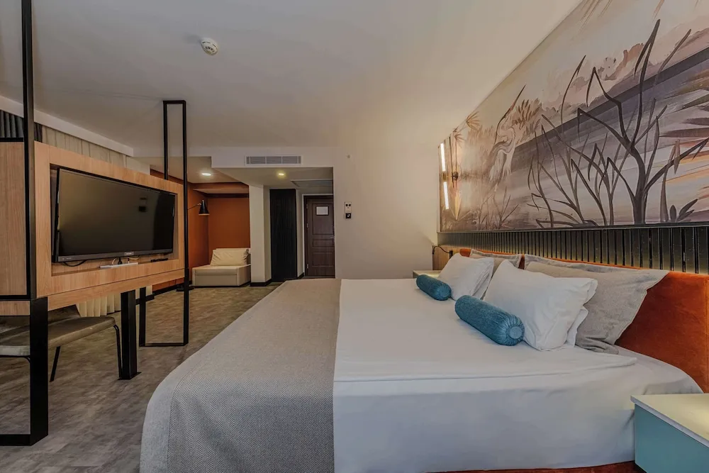 Deluxe Süit, 1 En Büyük (King) Boy Yatak, Sigara İçilmez, Mikrodalga (with Single Sofabed)