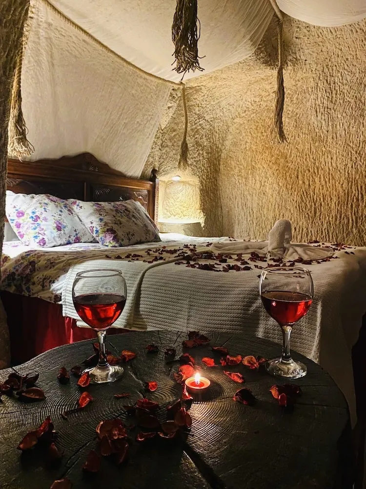 Classic Stüdyo, 1 Yatak Odası, Şömine