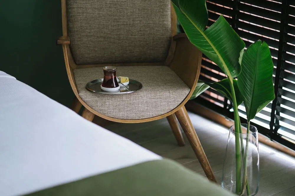 Suite Terrace