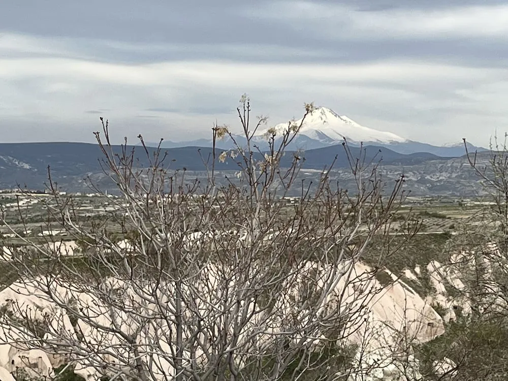 102 - KUMRU Deluxe Vadi