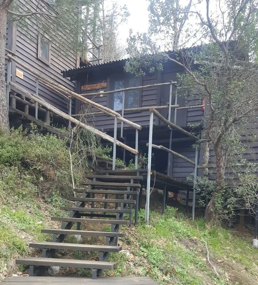 Basic Oda, Birden Çok Yatak, Vadi Manzaralı, Dağ Yamacı