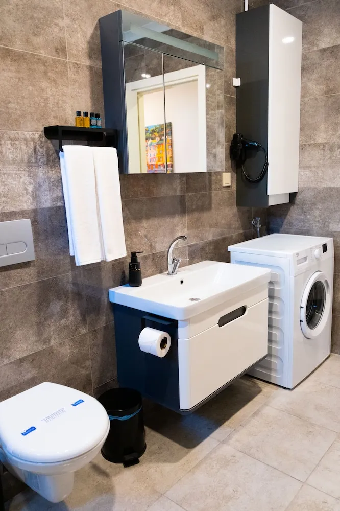 Deluxe Süit, 1 Büyük (Queen) Boy Yatak ve Çekyat, Şehir Manzaralı