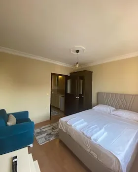DS Suite