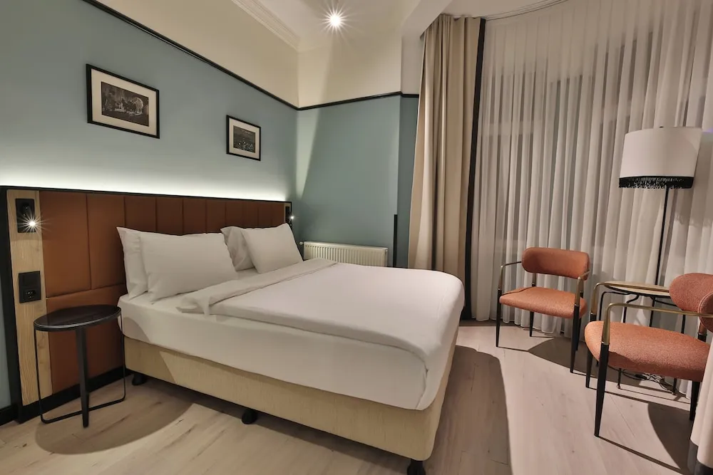 Standard Tek Büyük Yataklı Oda, Sigara İçilmez