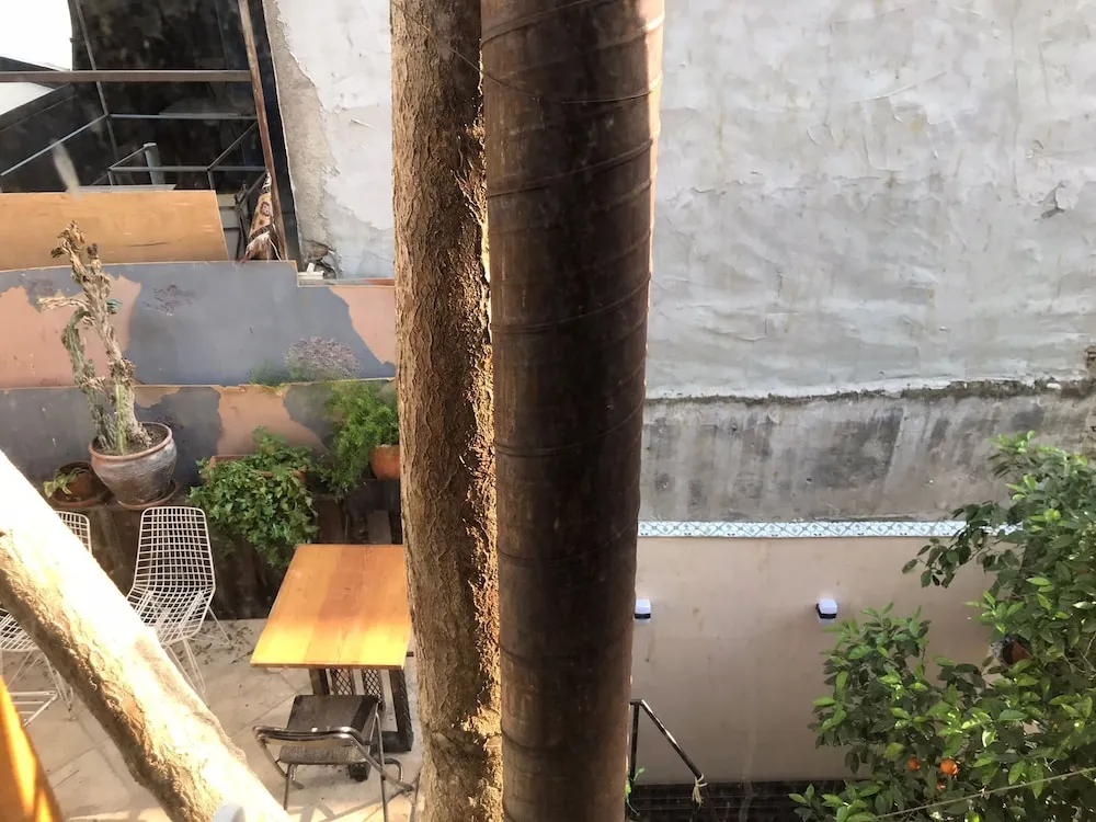 Economy Ortak Ranzalı Oda, Bahçe Manzaralı, Bahçeli (4 Beds Shared Dormitory)