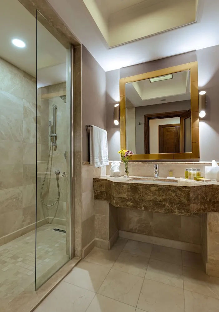 Standard Tek Büyük Yataklı Oda, Şehir Manzaralı