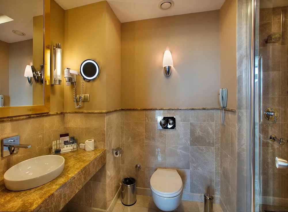 Standard İki Ayrı Yataklı Oda, Şehir Manzaralı