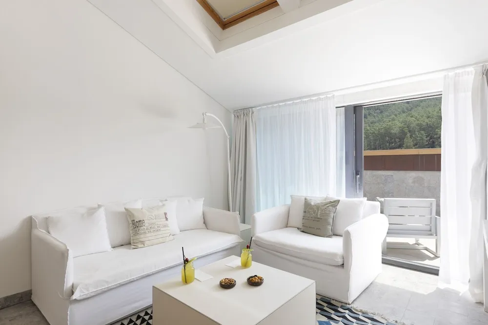 Attic Suite Without Balcony