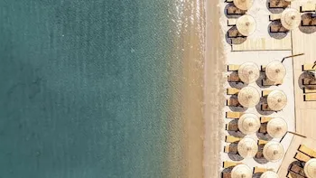 Mare Alba