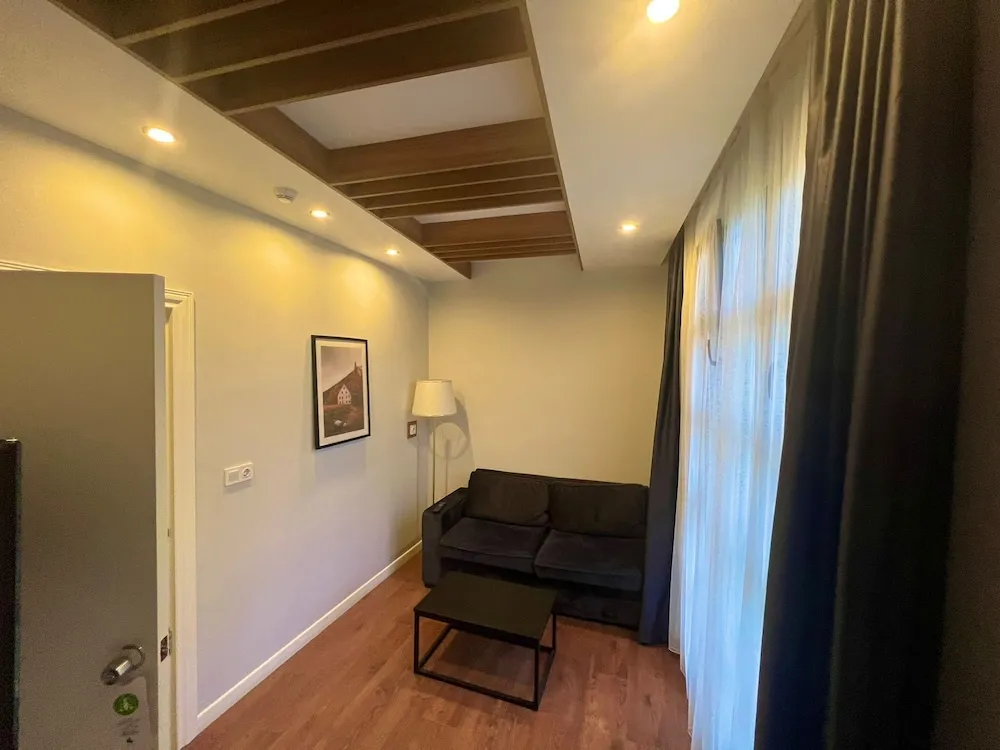 Deluxe Süit, Birden Çok Yatak, Sigara İçilmez