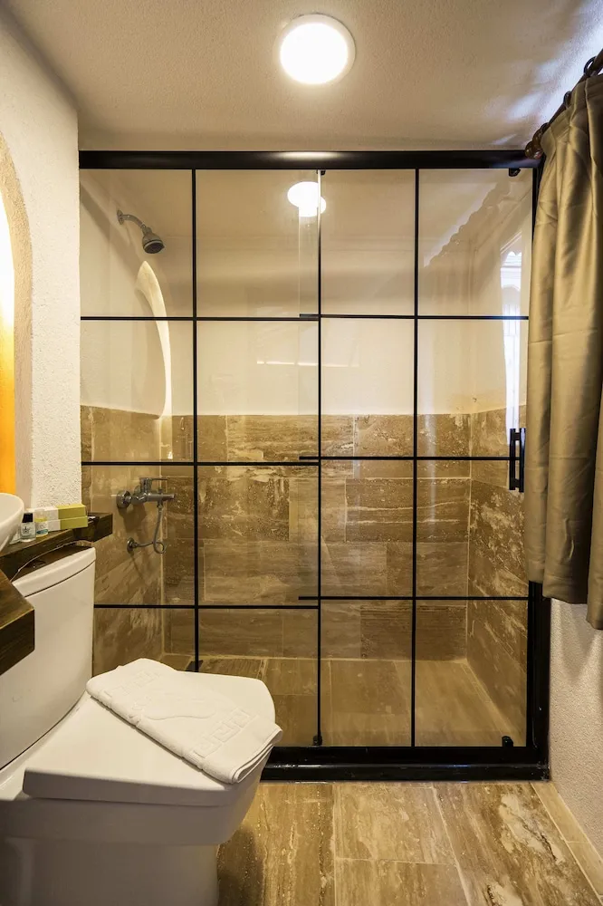 Vip Dlx Sky With Bathtub 7