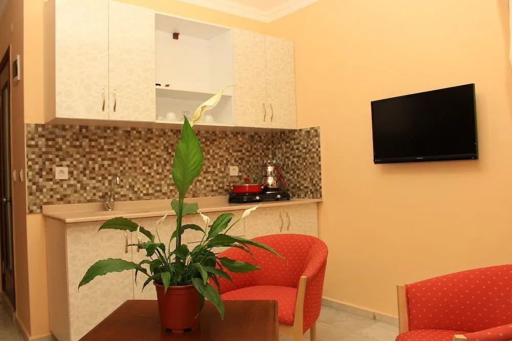 1 Odalı Apart Daire