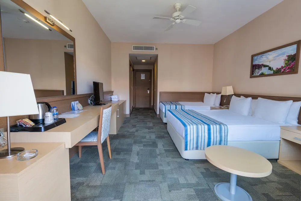 Standard Room (Winter Section)