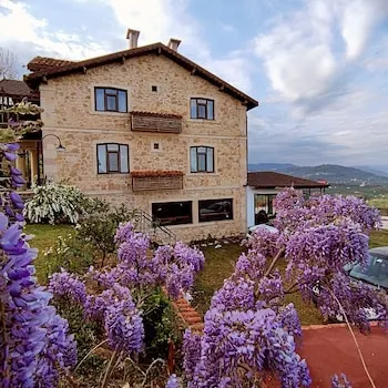 Hayat Oksijen Resort
