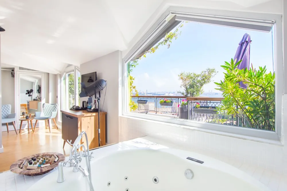 Penthouse with Balcony and Jettub
