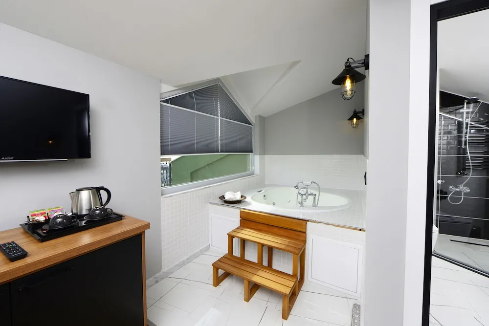 Penthouse with Balcony and Jettub
