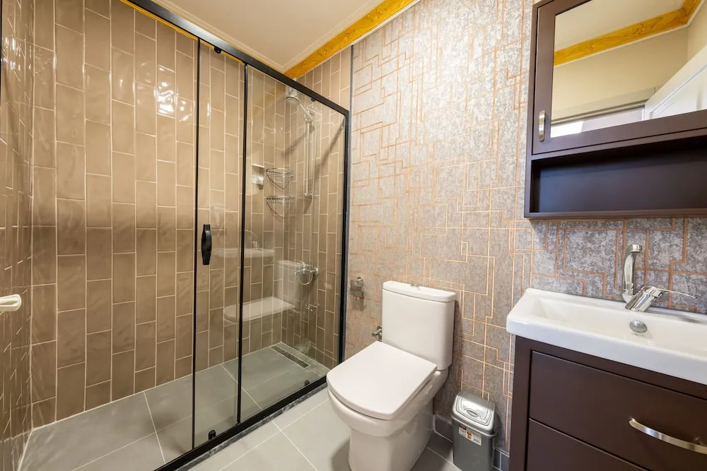 Çatı Katı Süiti (Penthouse)