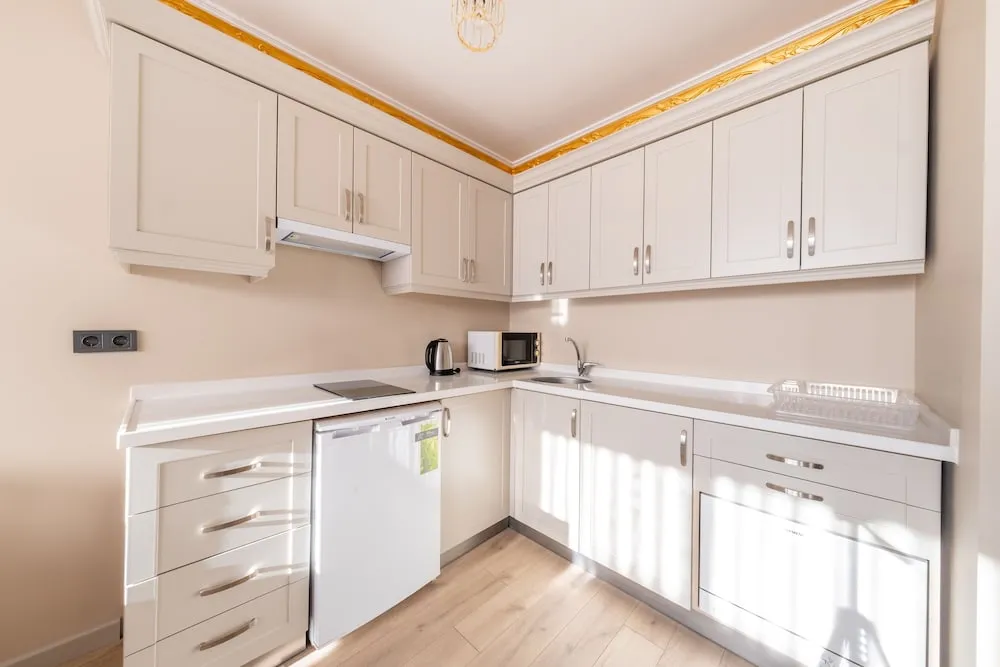 Çatı Katı Süiti (Penthouse)