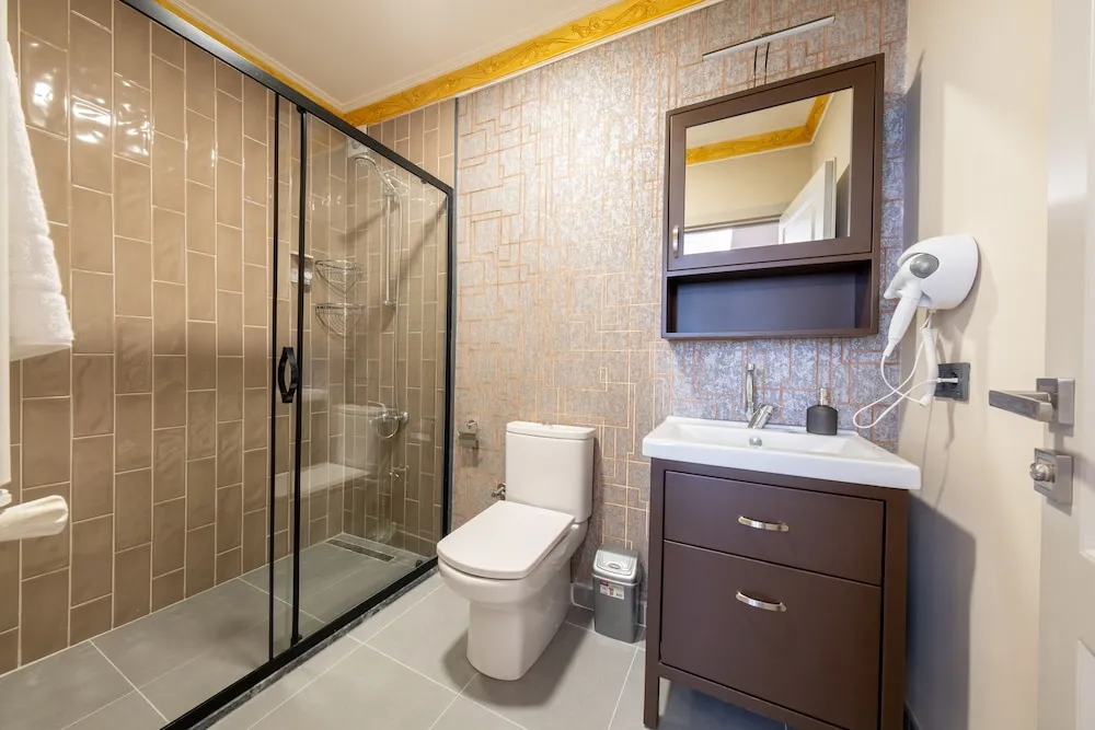 Çatı Katı Süiti (Penthouse)