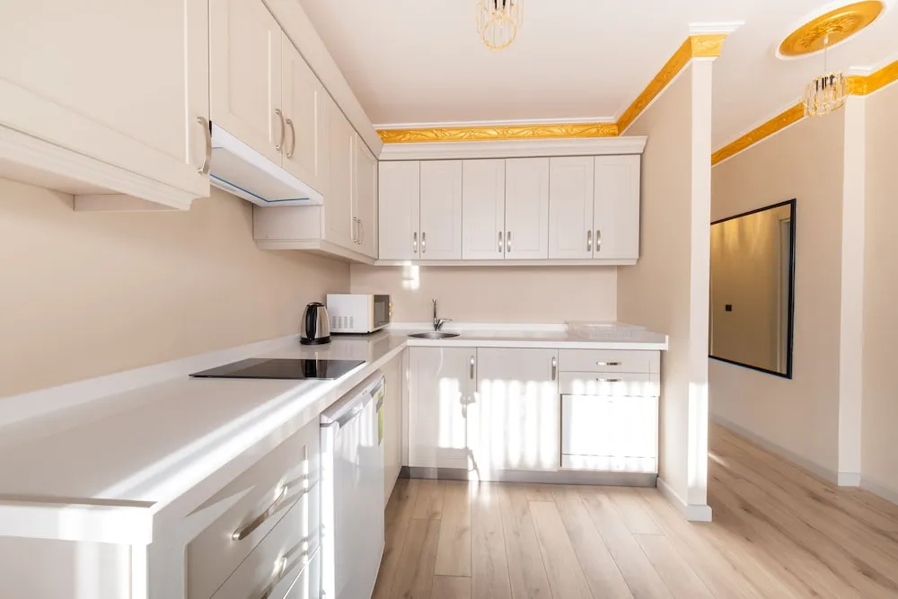 Çatı Katı Süiti (Penthouse)