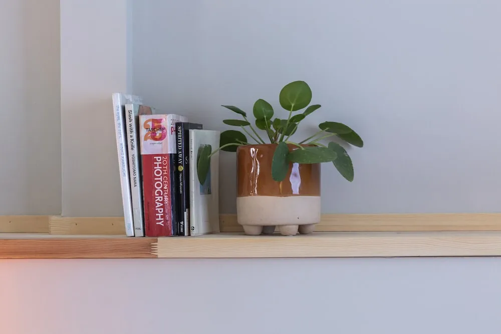 Sweet Red Riding Hood Room