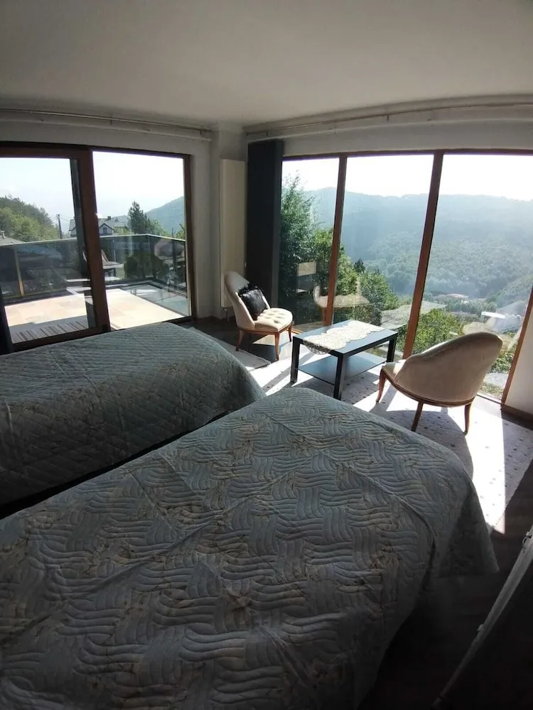 Panoramic Tek Büyük veya İki Ayrı Yataklı Oda, Dağ Manzaralı