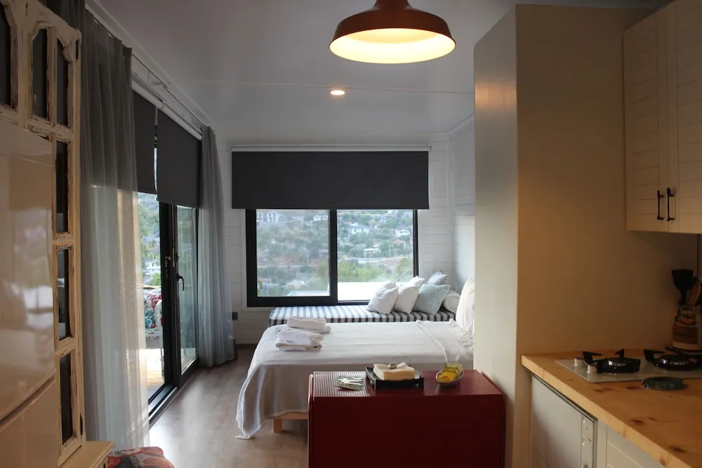 Panoramic Ev