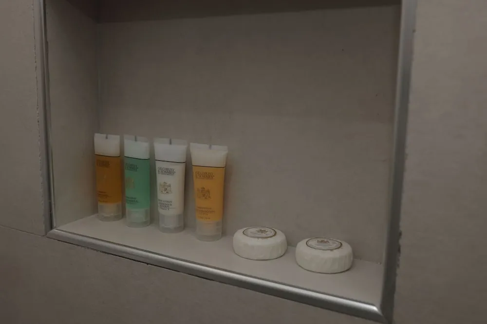 Deluxe Tek Büyük veya İki Ayrı Yataklı Oda