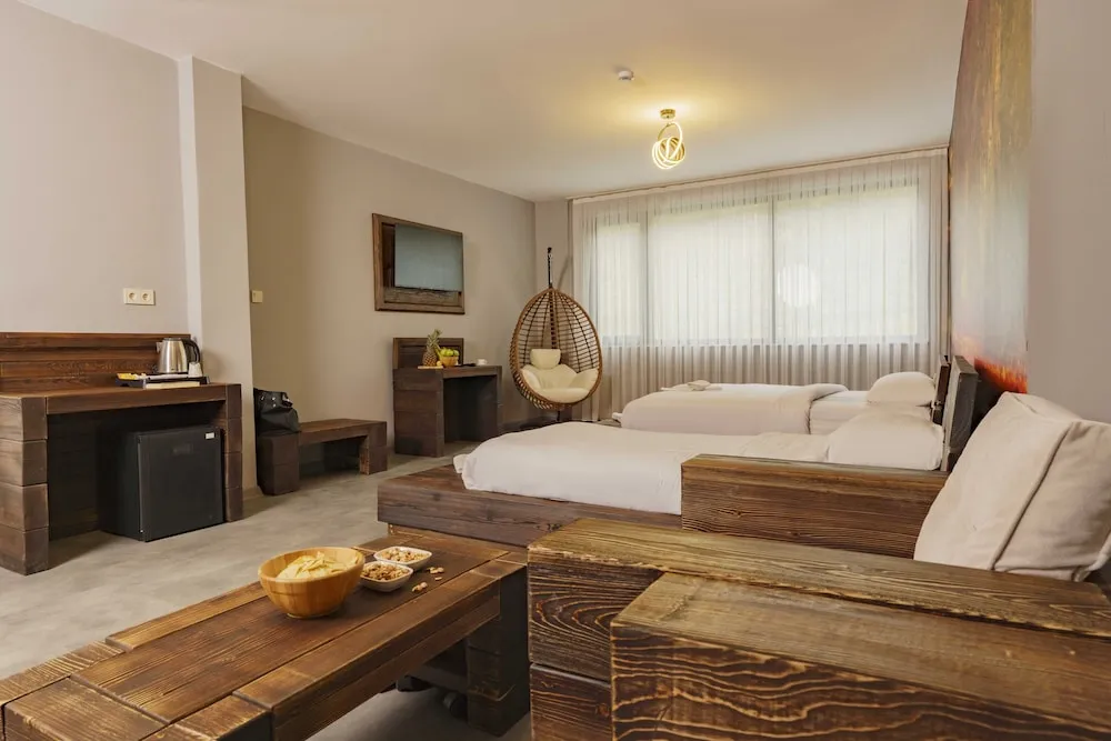 Deluxe Oda, Birden Çok Yatak, Sigara İçilmez, Nehir Manzaralı