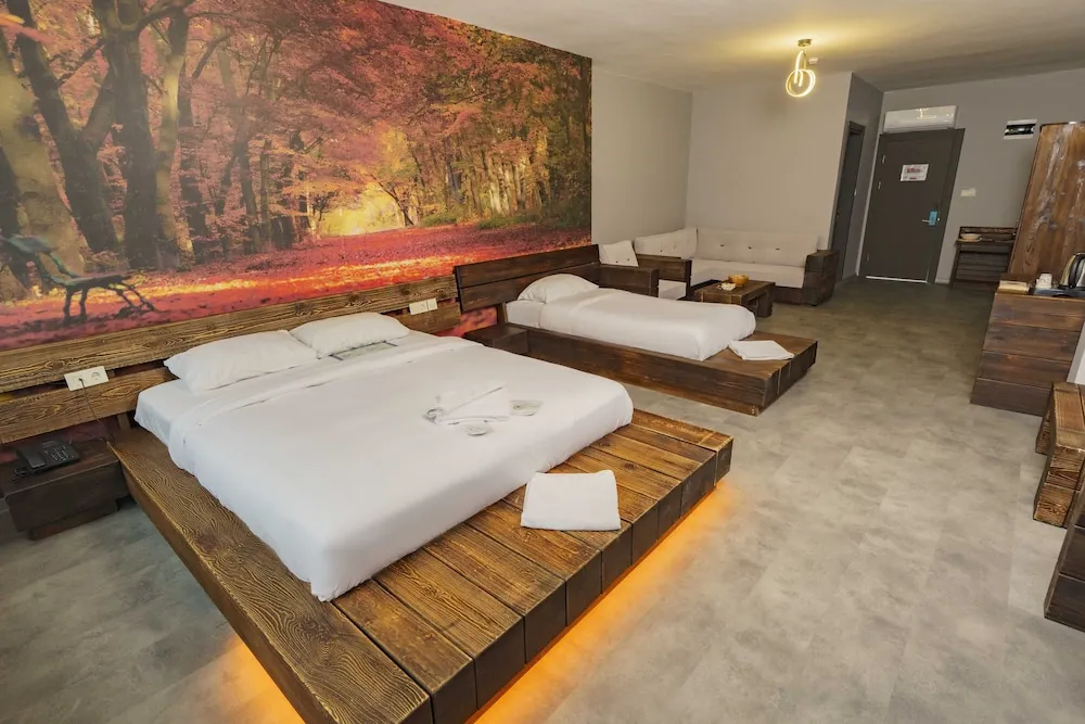 Deluxe Oda, Birden Çok Yatak, Sigara İçilmez, Nehir Manzaralı