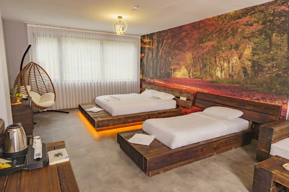 Deluxe Oda, Birden Çok Yatak, Sigara İçilmez, Nehir Manzaralı