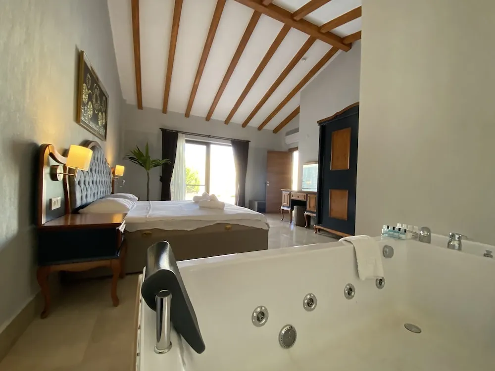 Basic Villa