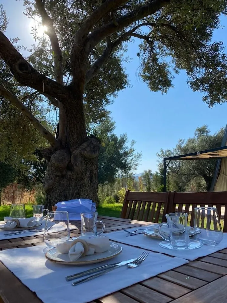 Design Tek Büyük Yataklı Oda