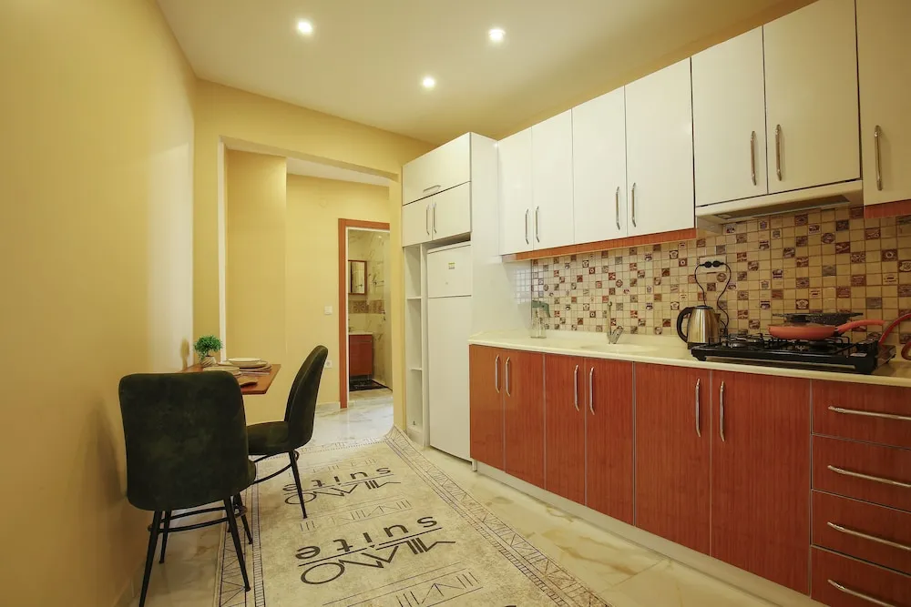 Condo, 1 Queen Bed, Non Smoking, City View (Mevlanakapi OnCephe 1+1 D5)