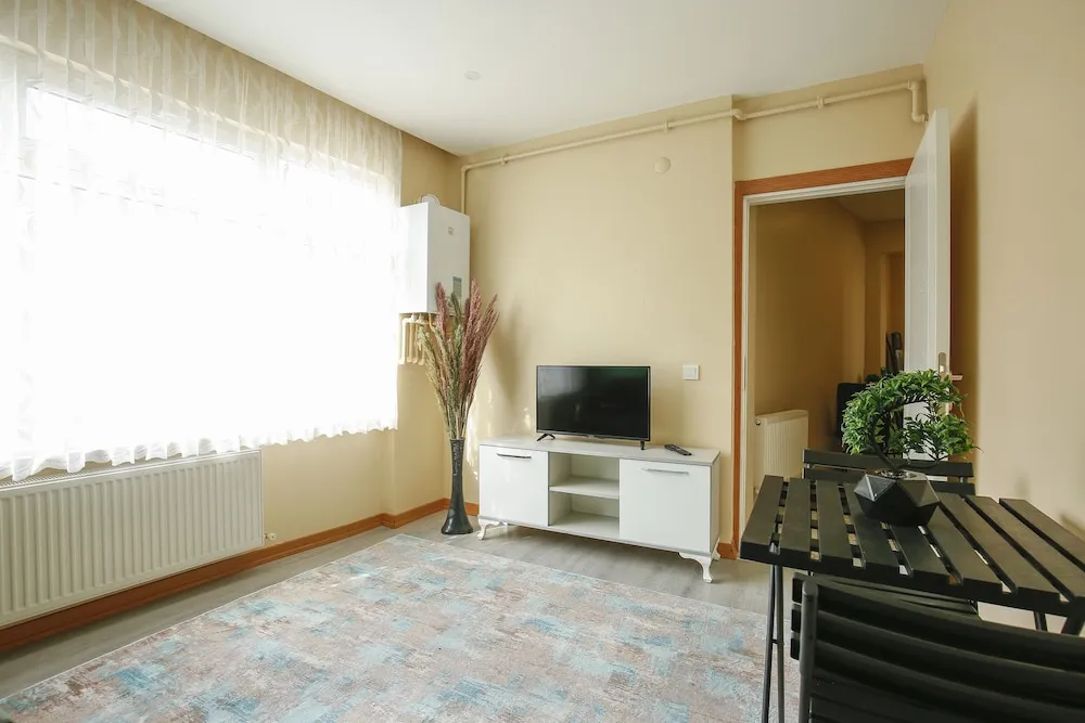 Condo, 1 Queen Bed, Non Smoking, City View (Mevlanakapi OnCephe 1+1 D5)