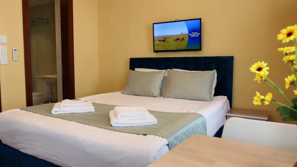 Deluxe Stüdyo Süit