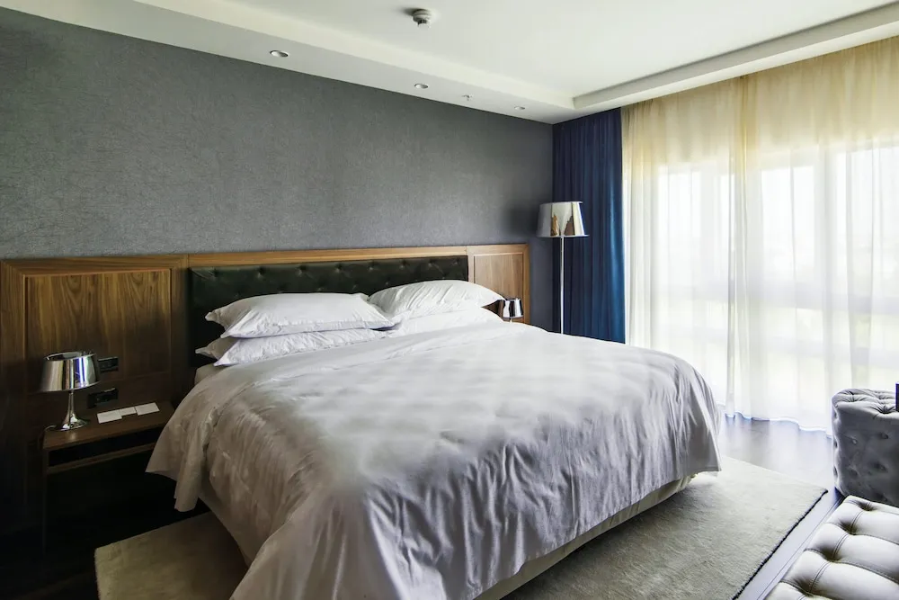 Presidential Süit, 1 Yatak Odası