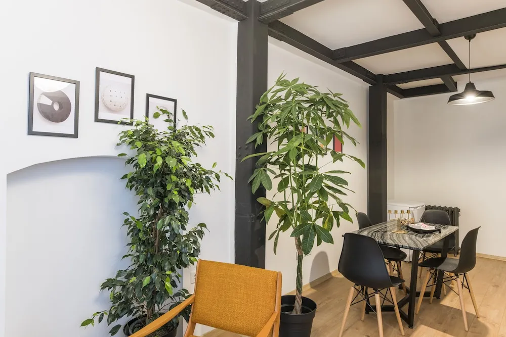 Design Çatı Katı (Loft)