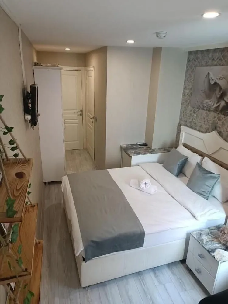 Standard Tek Büyük Yataklı Oda, 1 Çift Kişilik Yatak